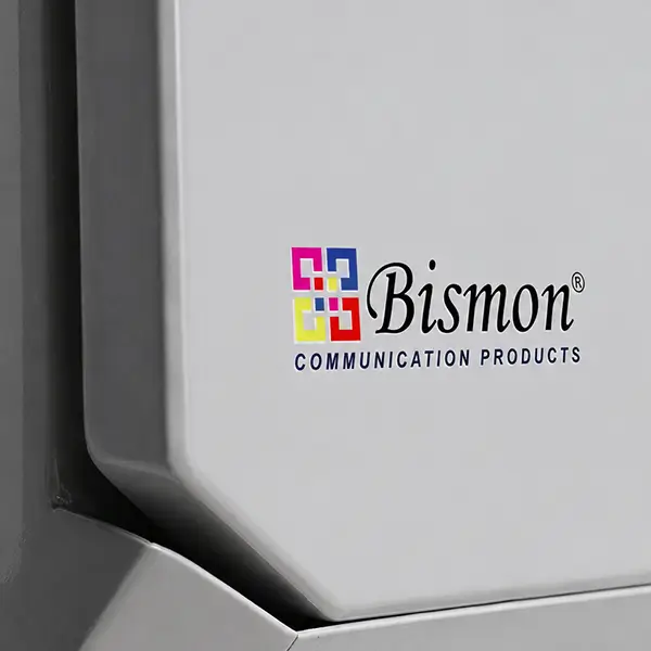 งานพ่นสีและโลโก้ Bismon
